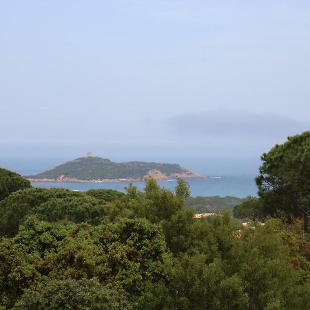 Villa Pietra Rossa Sainte-Lucie de Porto-Vecchio Ngoại thất bức ảnh